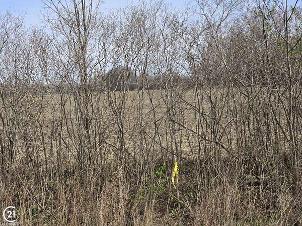 10 Acres of Residential Land for Sale in Columbus, Michigan