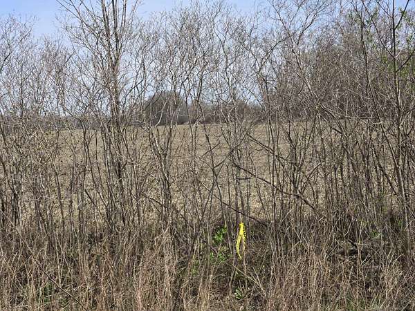 10 Acres of Residential Land for Sale in Richmond Township, Michigan