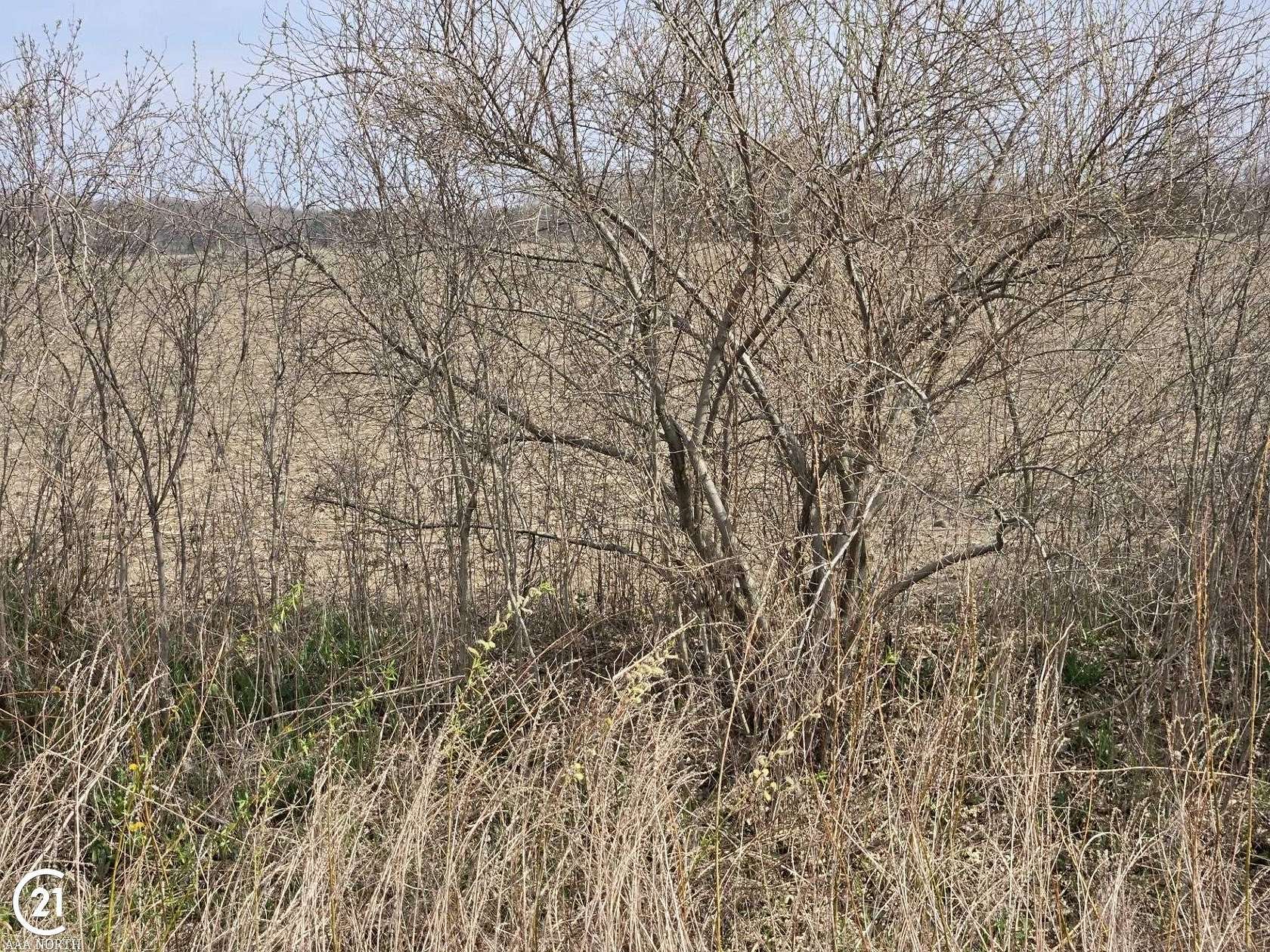 10 Acres of Residential Land for Sale in Columbus, Michigan