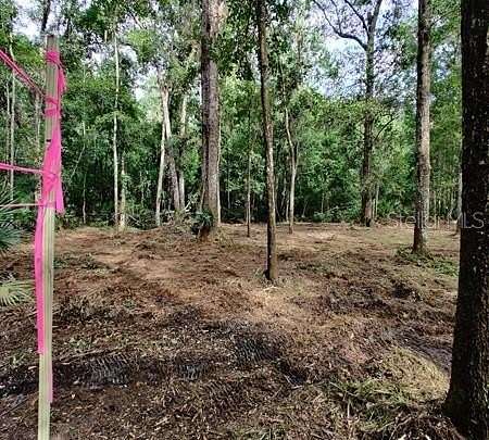 3.64 Acres of Residential Land for Sale in Gainesville, Florida