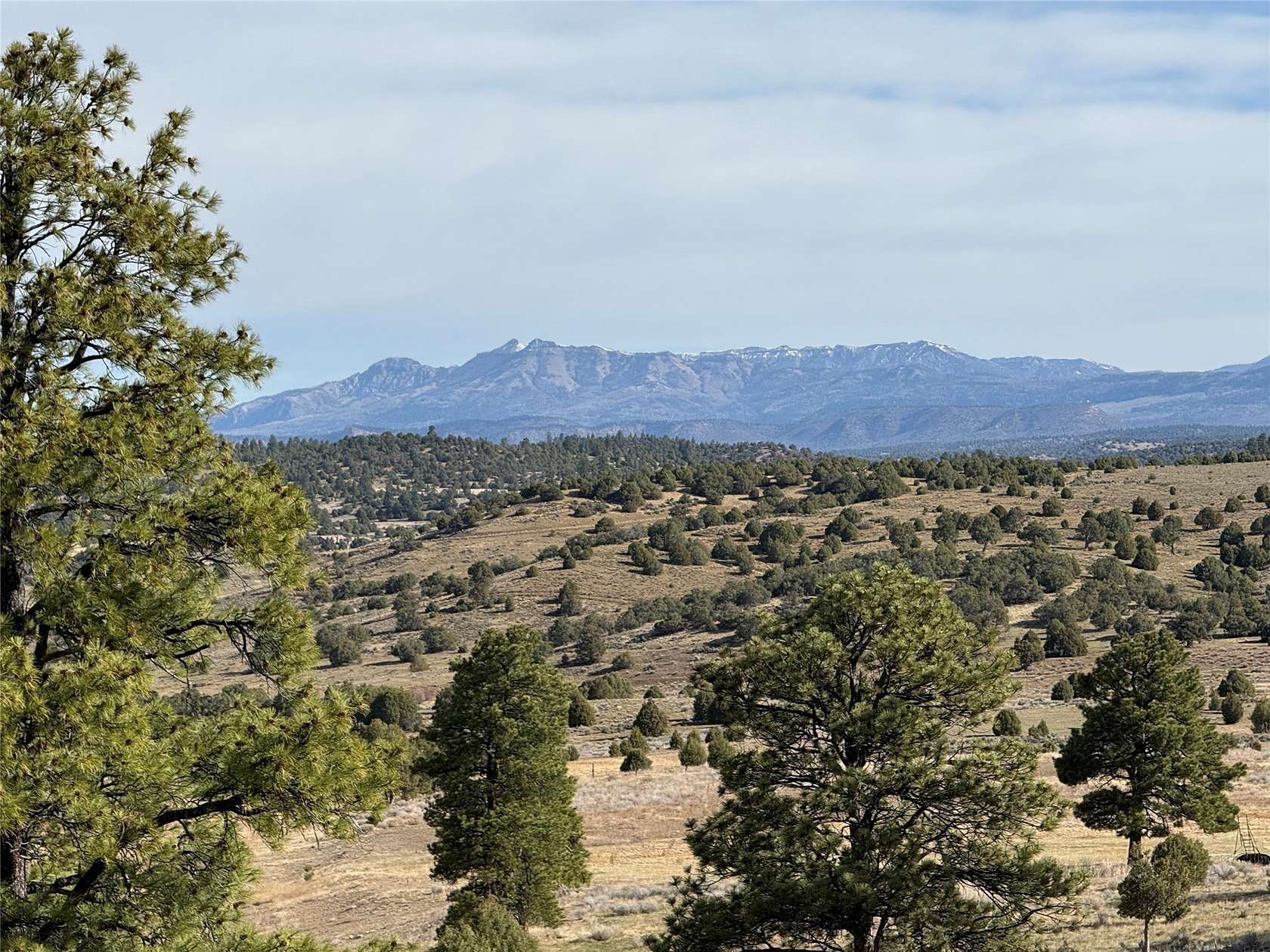 9 Acres of Residential Land for Sale in Los Ojos, New Mexico