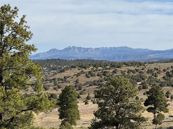 9 Acres of Residential Land for Sale in Los Ojos, New Mexico