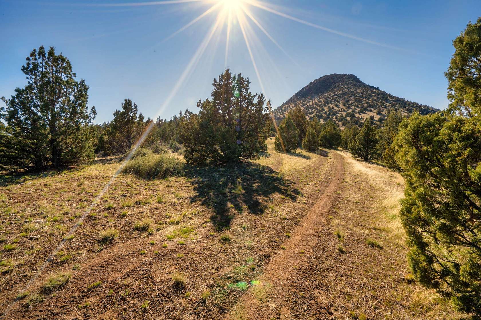 44.1 Acres of Land for Sale in Mitchell, Oregon