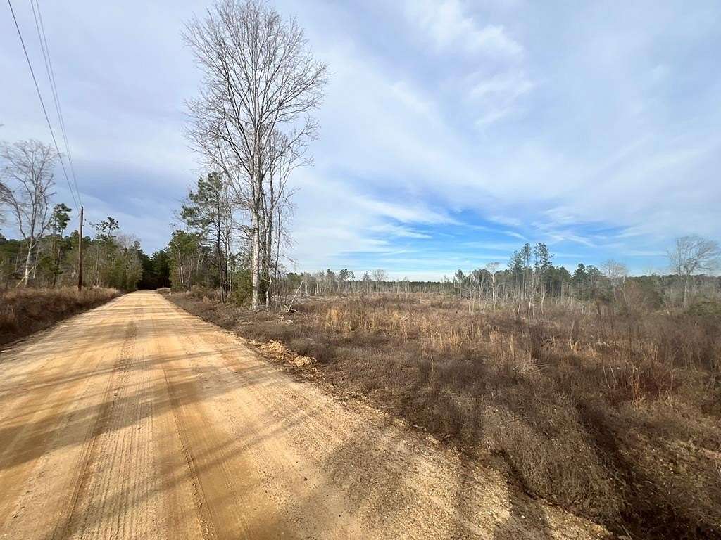 16 Acres of Land for Sale in Waynesboro, Mississippi