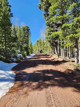 2.74 Acres of Land for Sale in Fort Garland, Colorado