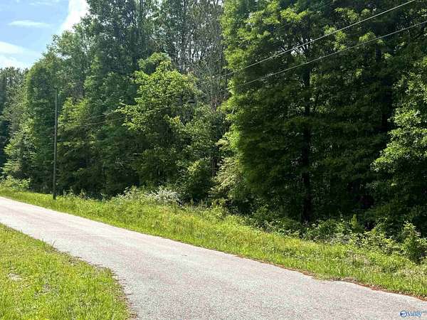 3.78 Acres of Residential Land for Sale in Glencoe, Alabama
