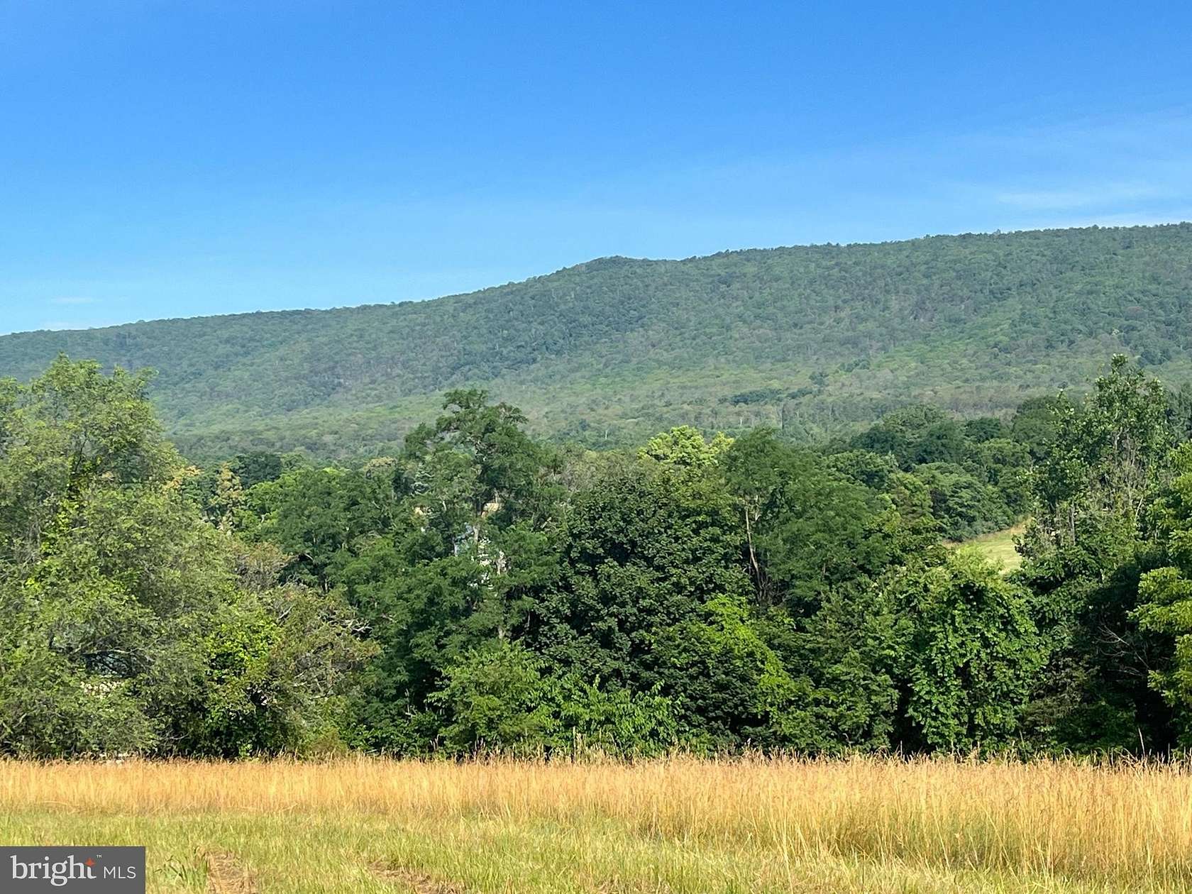 12.4 Acres of Land with Home for Sale in Toms Brook, Virginia