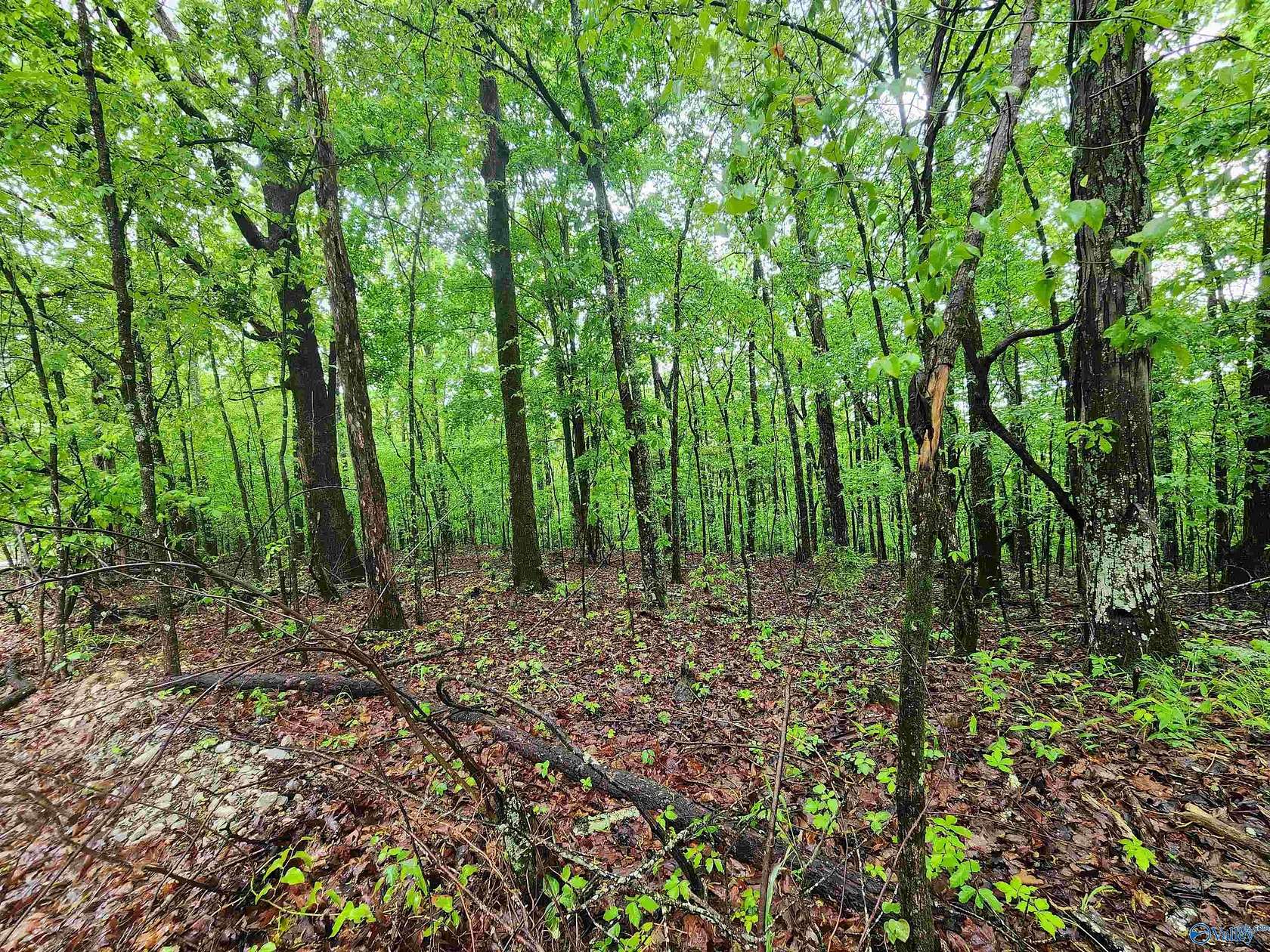 3.8 Acres of Land for Sale in Laceys Spring, Alabama