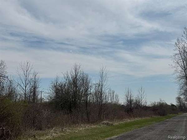 4 Acres of Land for Sale in Clyde Township, Michigan