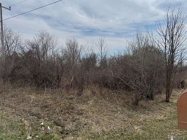 2 Acres of Residential Land for Sale in Clyde Township, Michigan