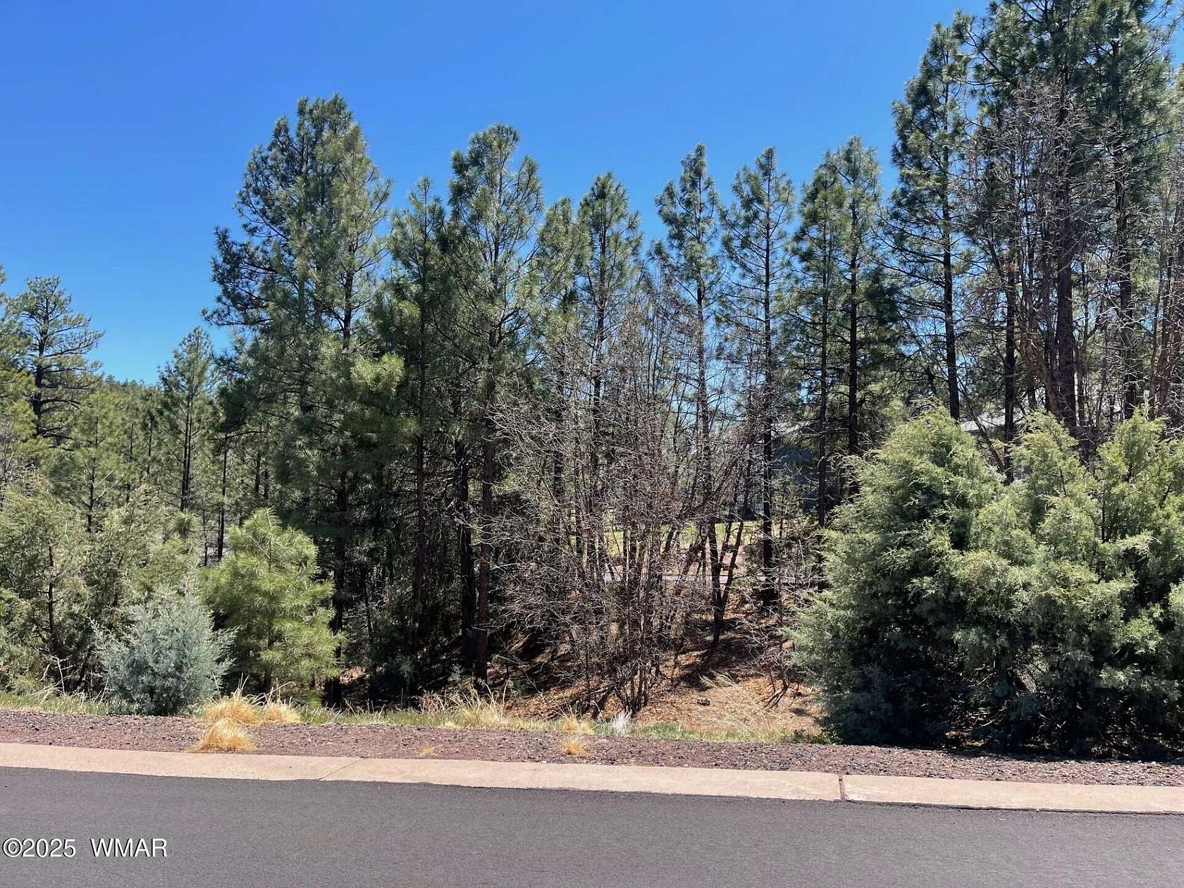 0.11 Acres of Residential Land for Sale in Show Low, Arizona