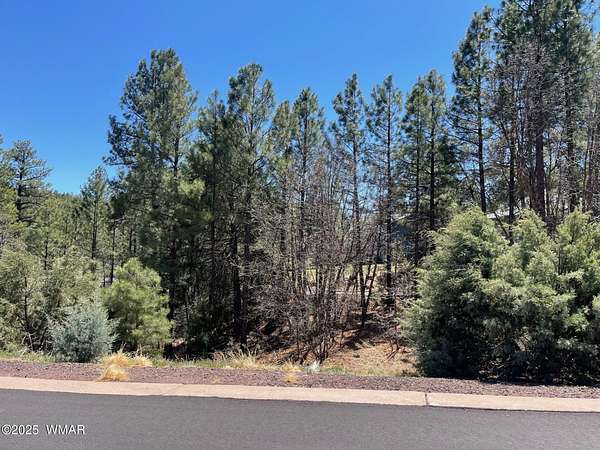 0.11 Acres of Residential Land for Sale in Show Low, Arizona