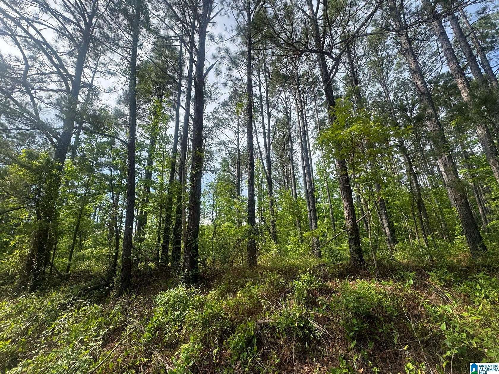 3.62 Acres of Land for Sale in Maplesville, Alabama