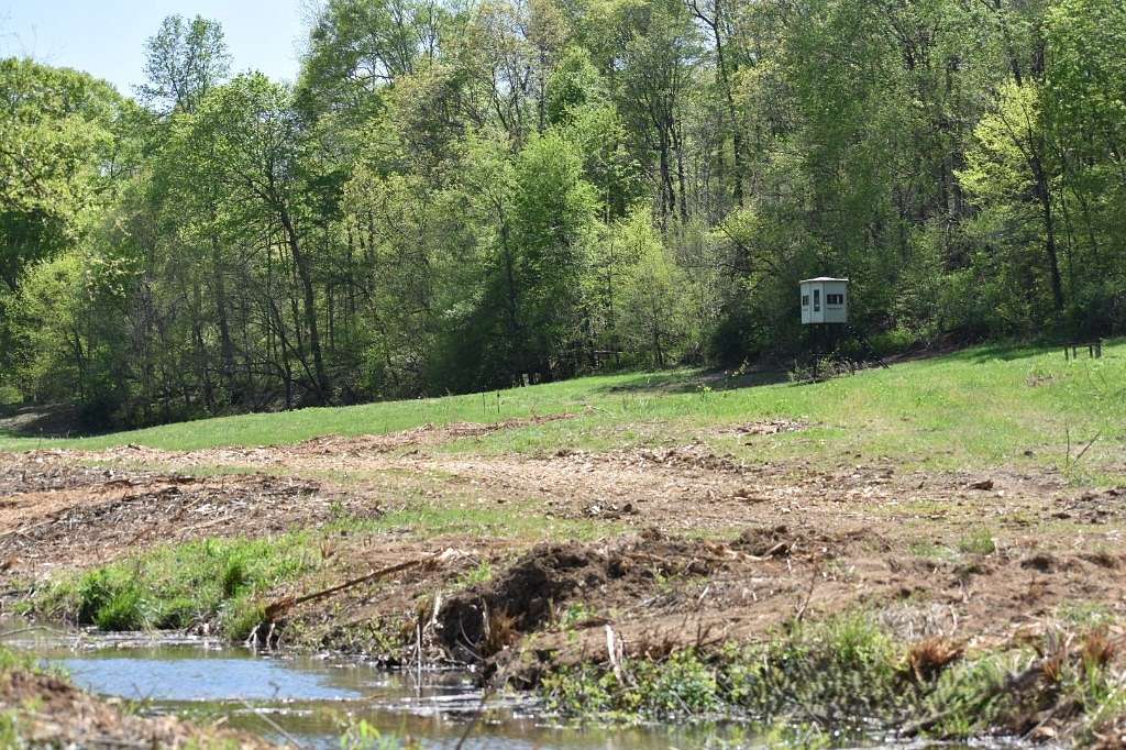 54.7 Acres of Recreational Land for Sale in Bon Aqua, Tennessee