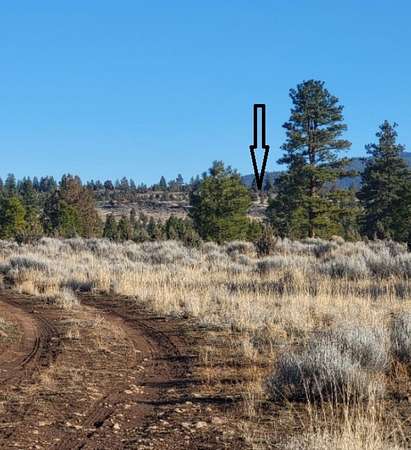 20 Acres of Land for Sale in Macdoel, California