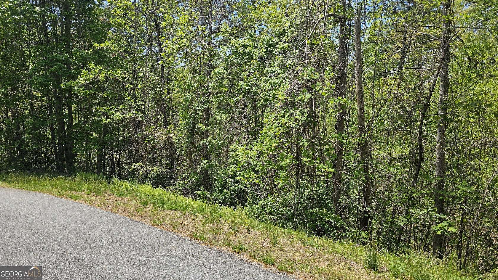 2.44 Acres of Land for Sale in Clayton, Georgia