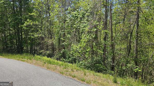 2.44 Acres of Land for Sale in Clayton, Georgia