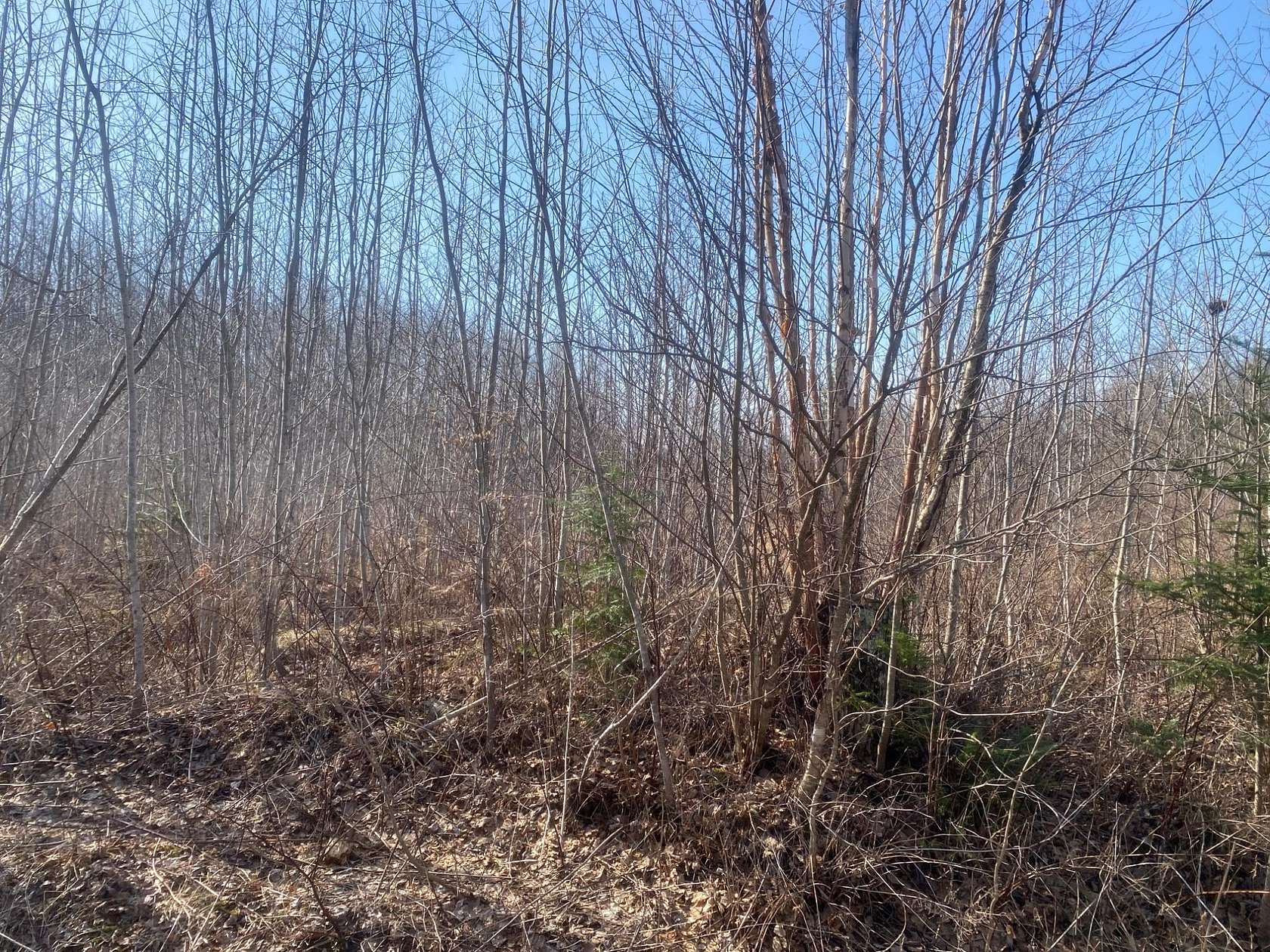 360 Acres of Land for Sale in Park Falls, Wisconsin