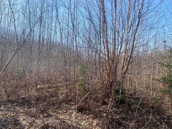 360 Acres of Land for Sale in Park Falls, Wisconsin