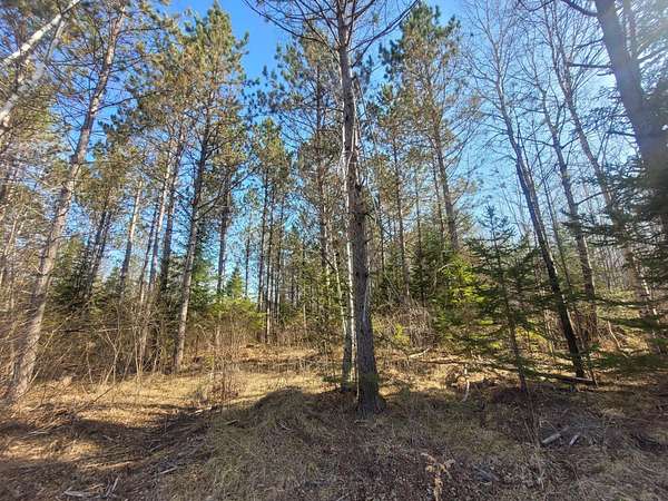 40 Acres of Recreational Land for Sale in Loretta, Wisconsin