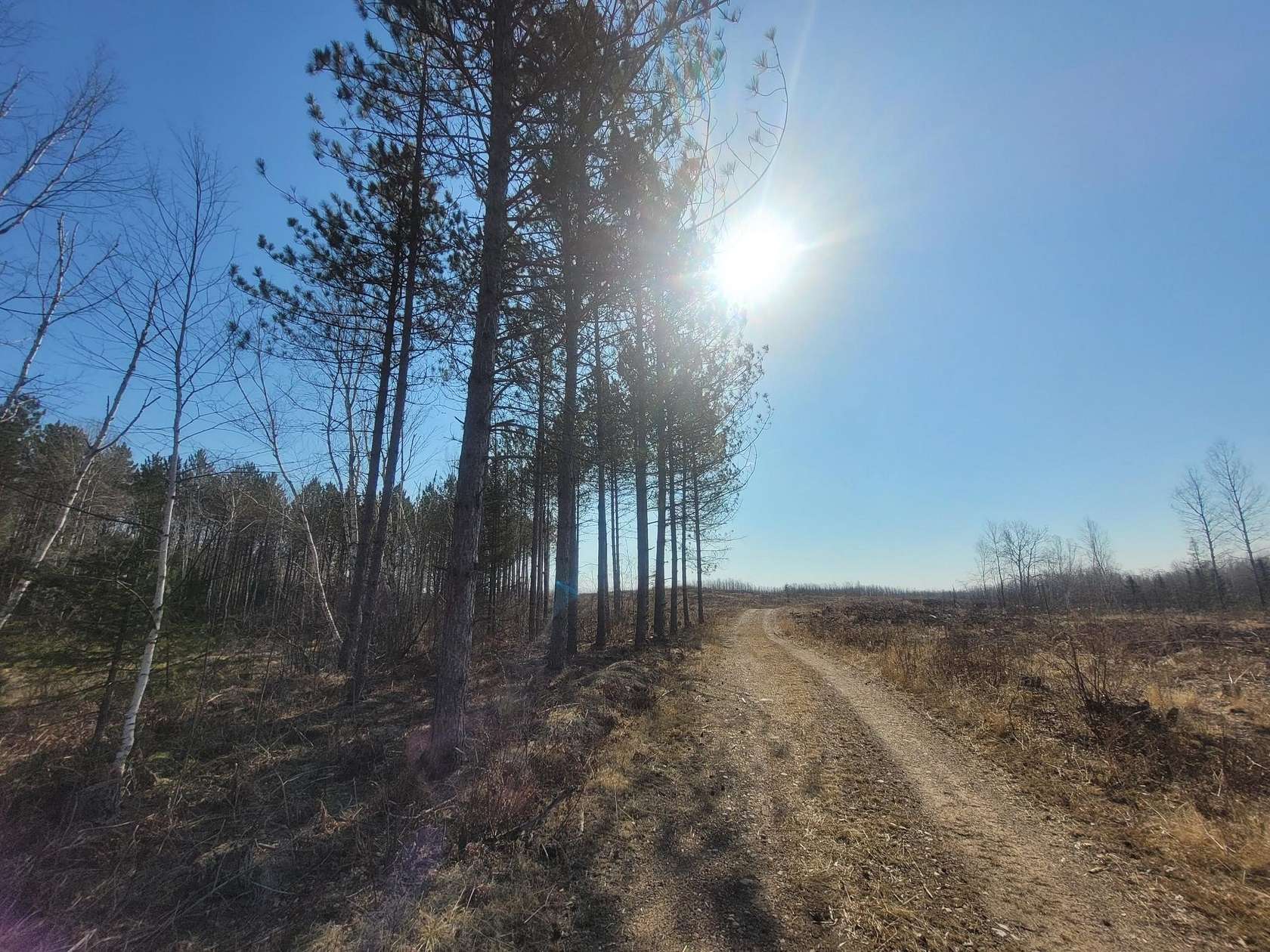 40 Acres of Recreational Land for Sale in Loretta, Wisconsin