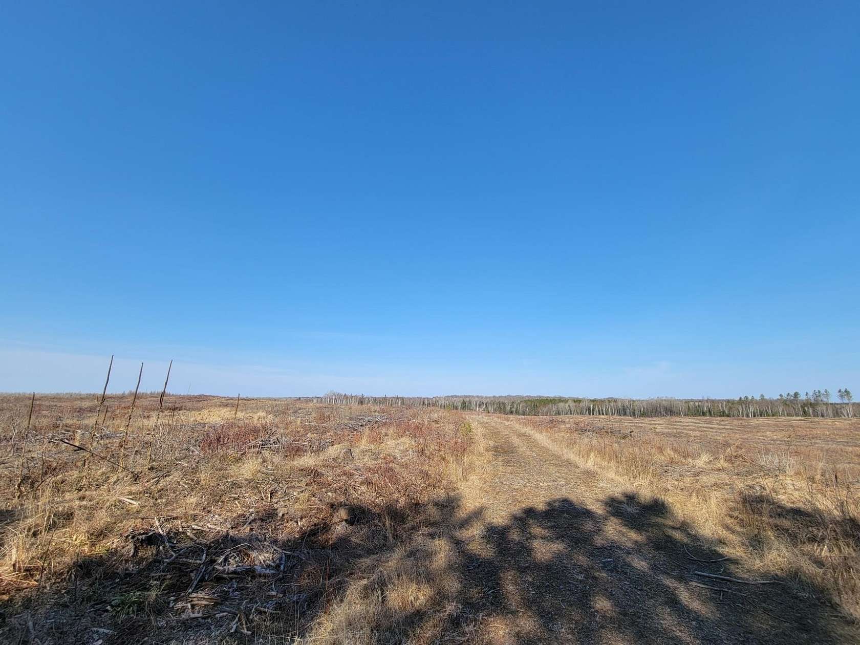 80 Acres of Recreational Land for Sale in Loretta, Wisconsin