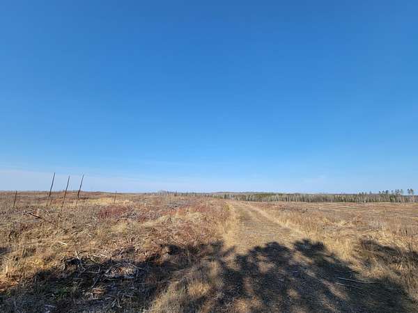 80 Acres of Recreational Land for Sale in Loretta, Wisconsin