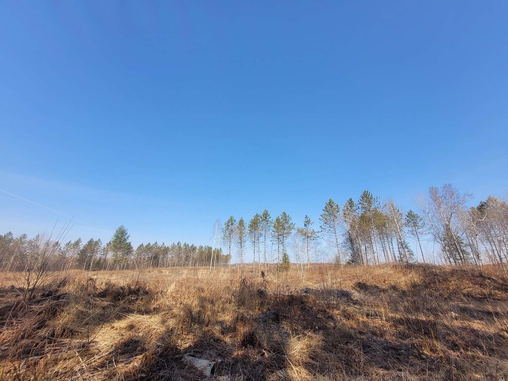 80 Acres of Recreational Land for Sale in Loretta, Wisconsin