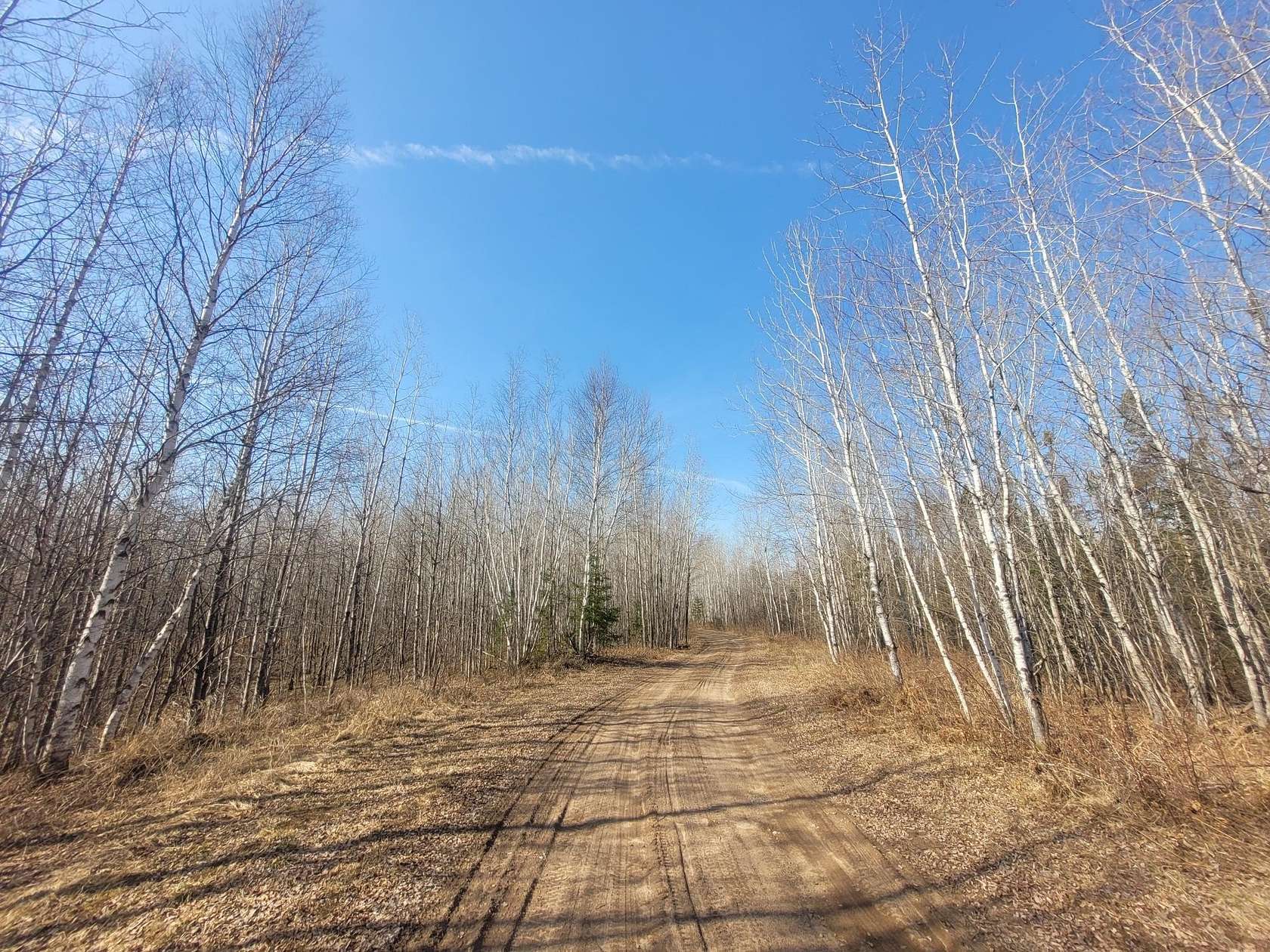 40 Acres of Recreational Land for Sale in Loretta, Wisconsin