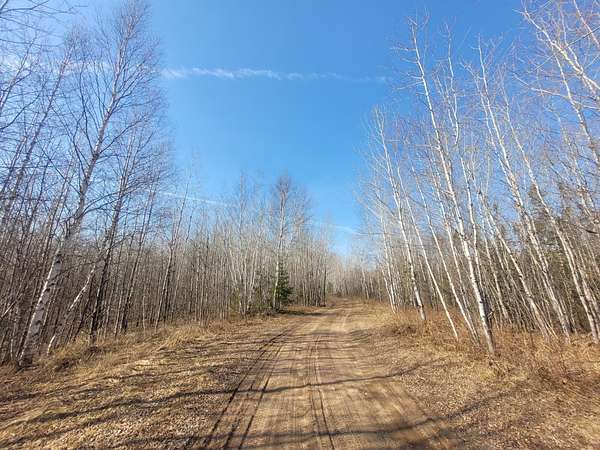 40 Acres of Recreational Land for Sale in Loretta, Wisconsin