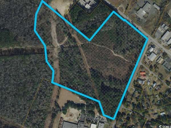 35.3 Acres of Recreational Land for Sale in Conway, South Carolina