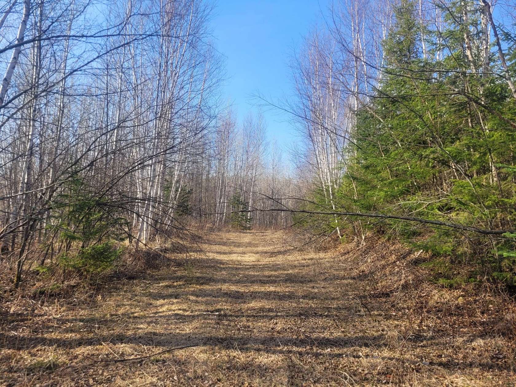 80 Acres of Recreational Land for Sale in Winter, Wisconsin