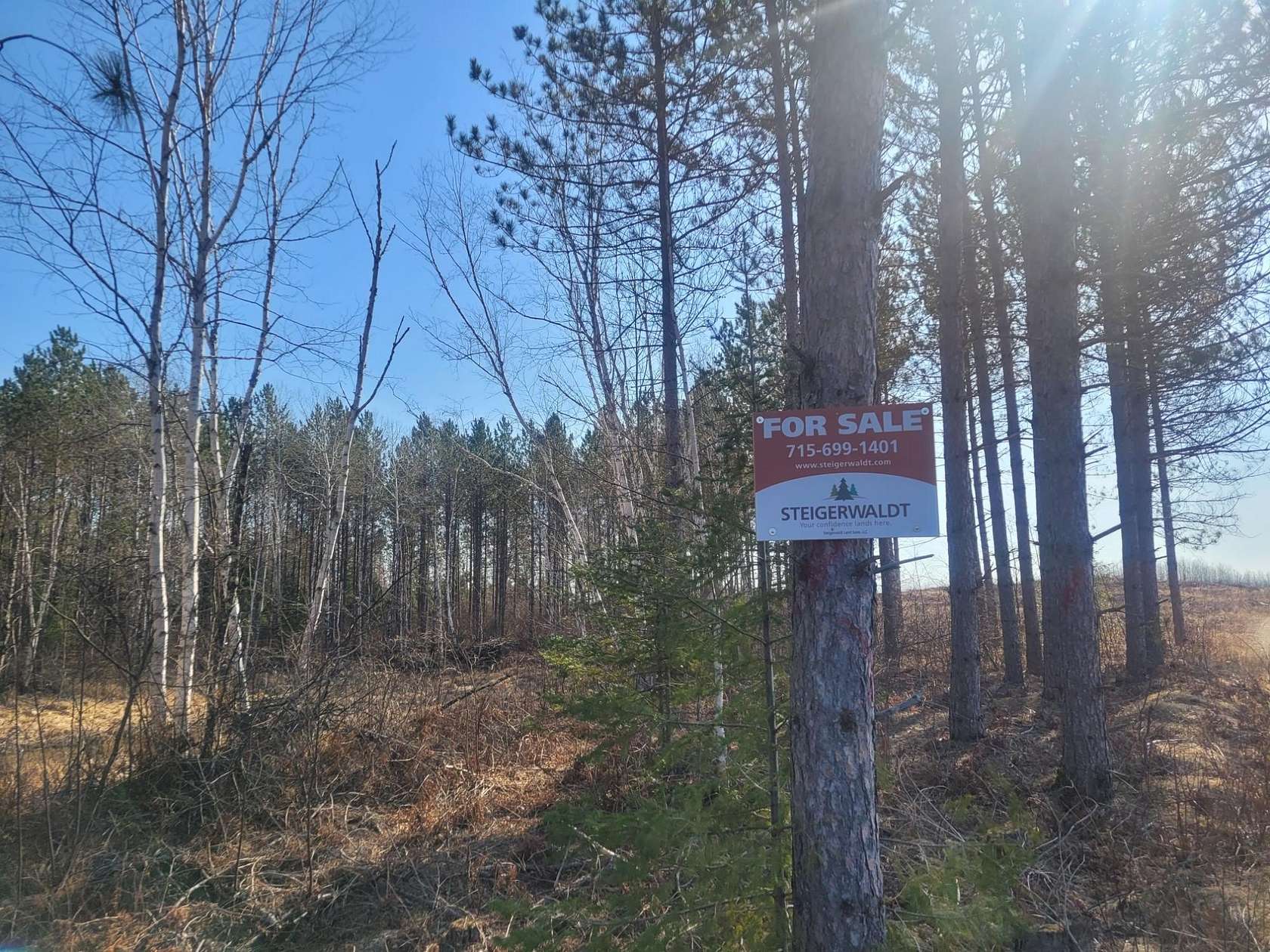 40 Acres of Recreational Land for Sale in Loretta, Wisconsin