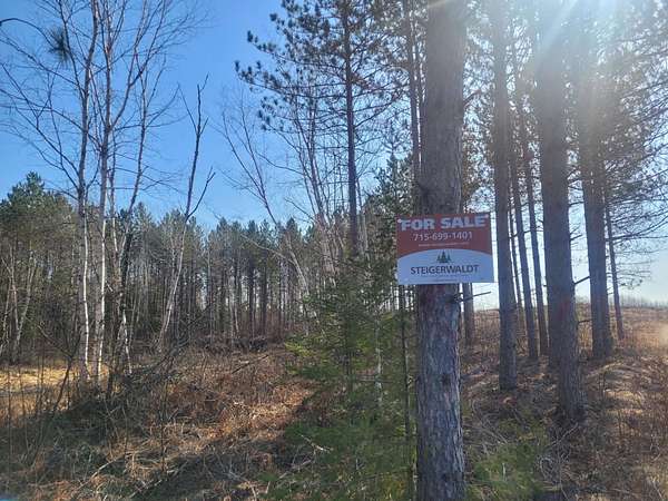 40 Acres of Recreational Land for Sale in Loretta, Wisconsin