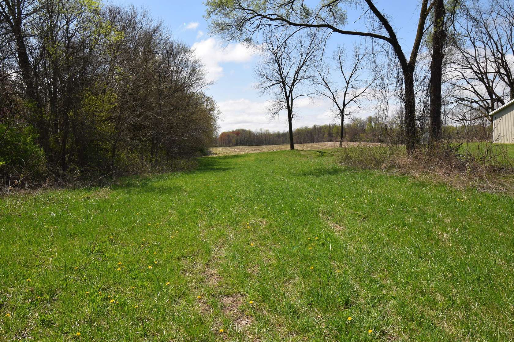29 Acres of Land for Sale in Lawrence, Michigan