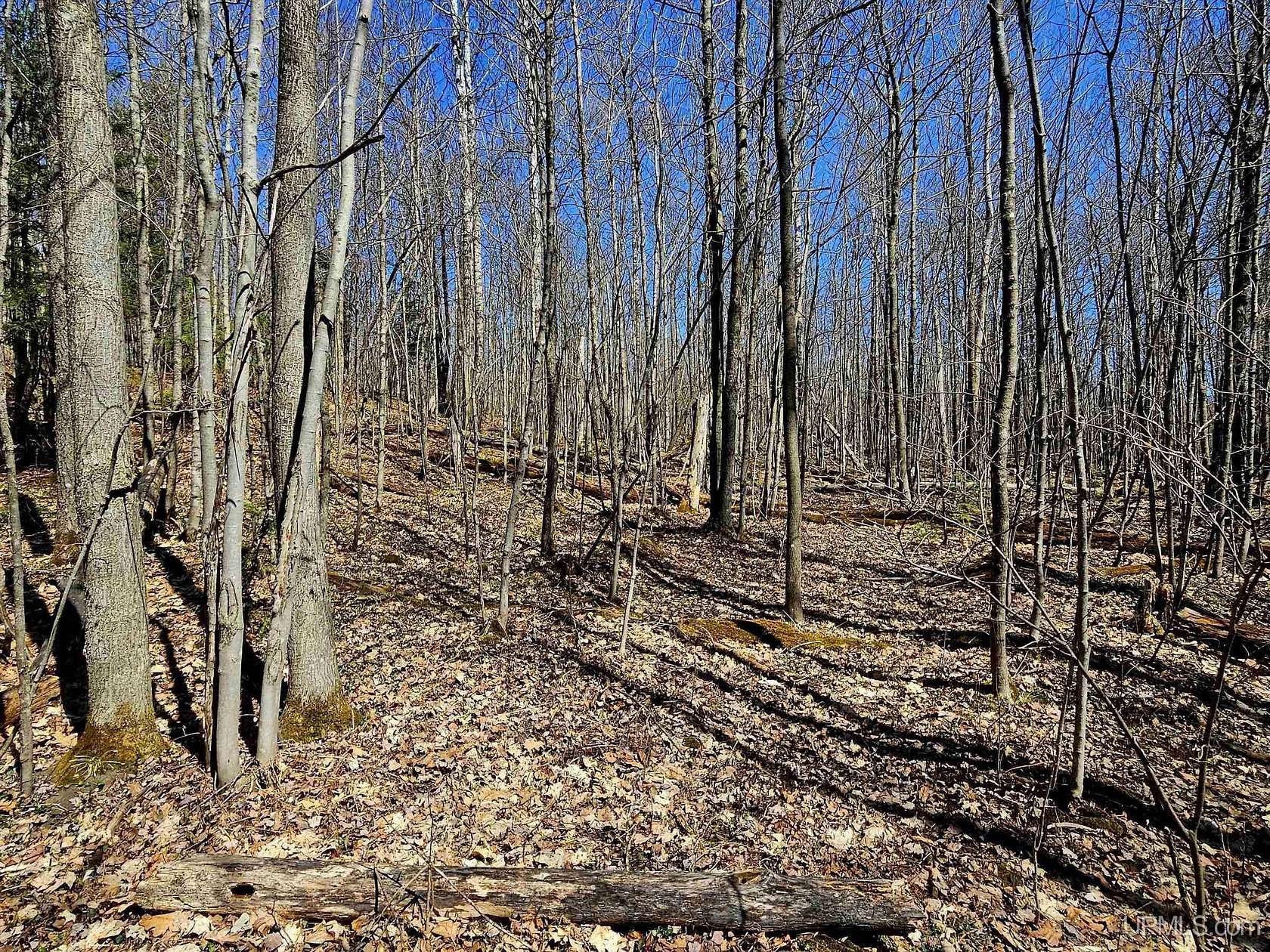 10 Acres of Recreational Land for Sale in Bessemer, Michigan