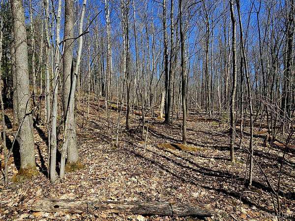 10 Acres of Recreational Land for Sale in Bessemer, Michigan