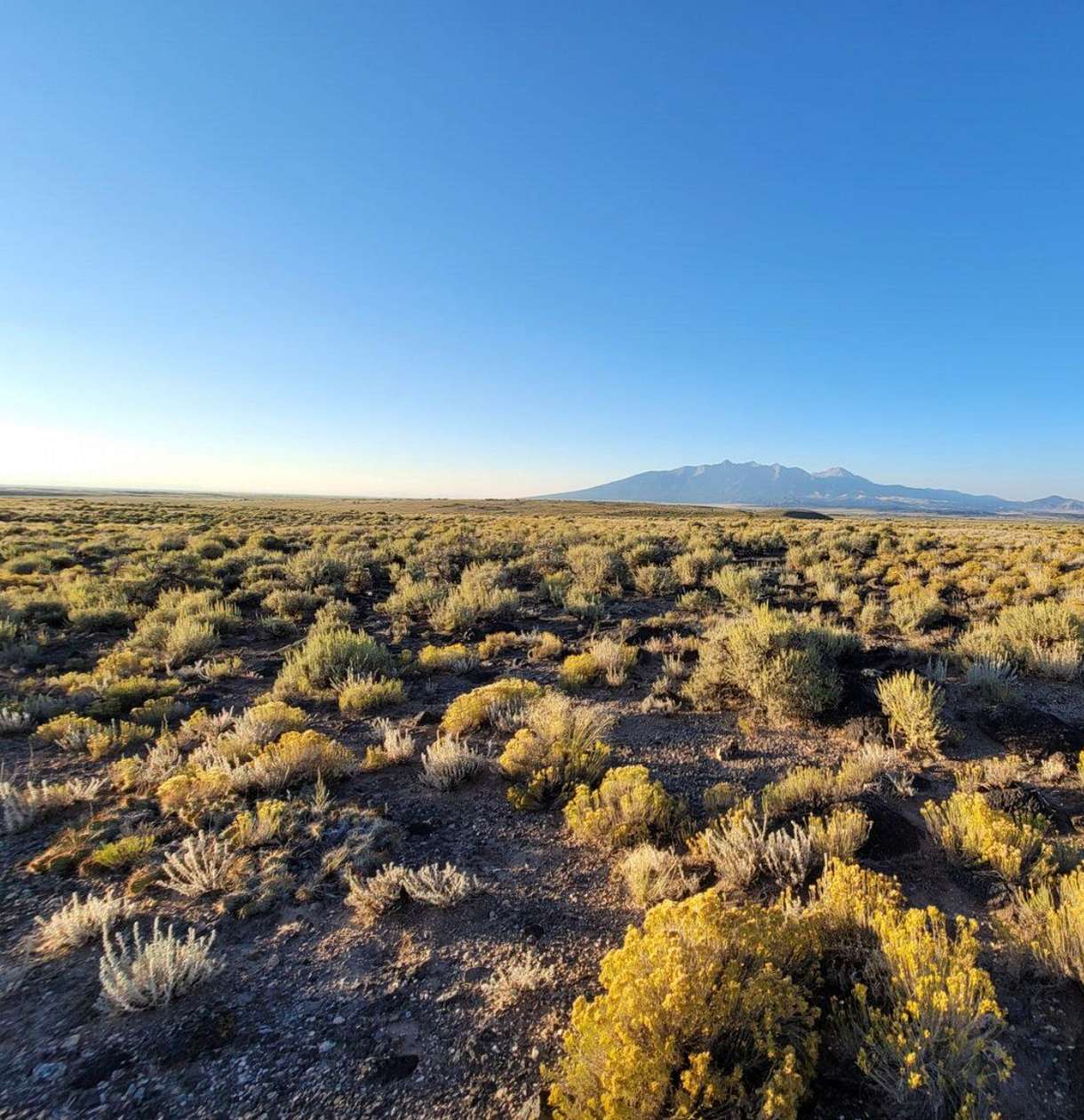 5 Acres of Residential Land for Sale in Blanca, Colorado