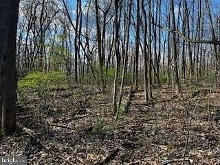 52.8 Acres of Recreational Land for Sale in Saint Thomas, Pennsylvania