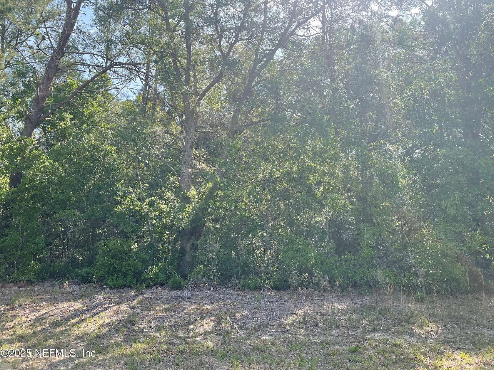 0.29 Acres of Land for Sale in Florahome, Florida