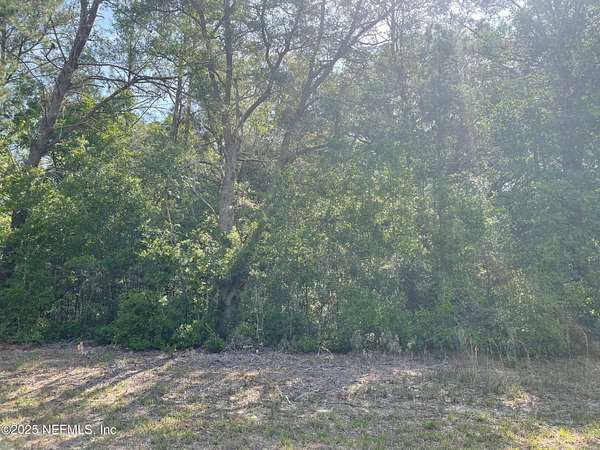 0.29 Acres of Land for Sale in Florahome, Florida