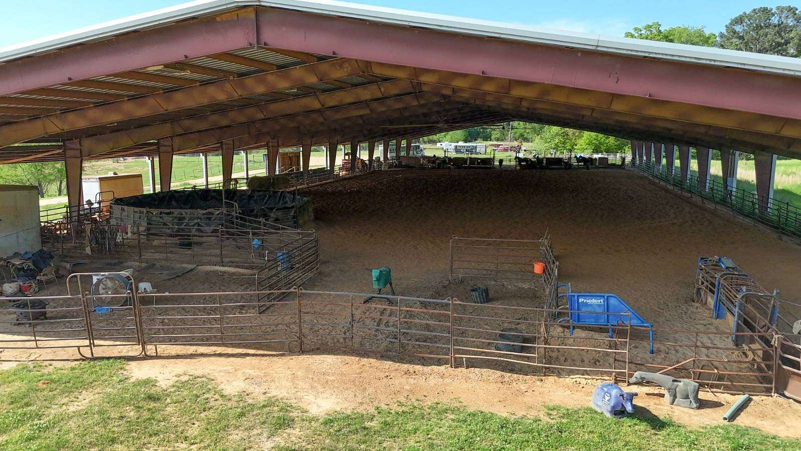 10 Acres of Agricultural Land for Sale in Downsville, Louisiana