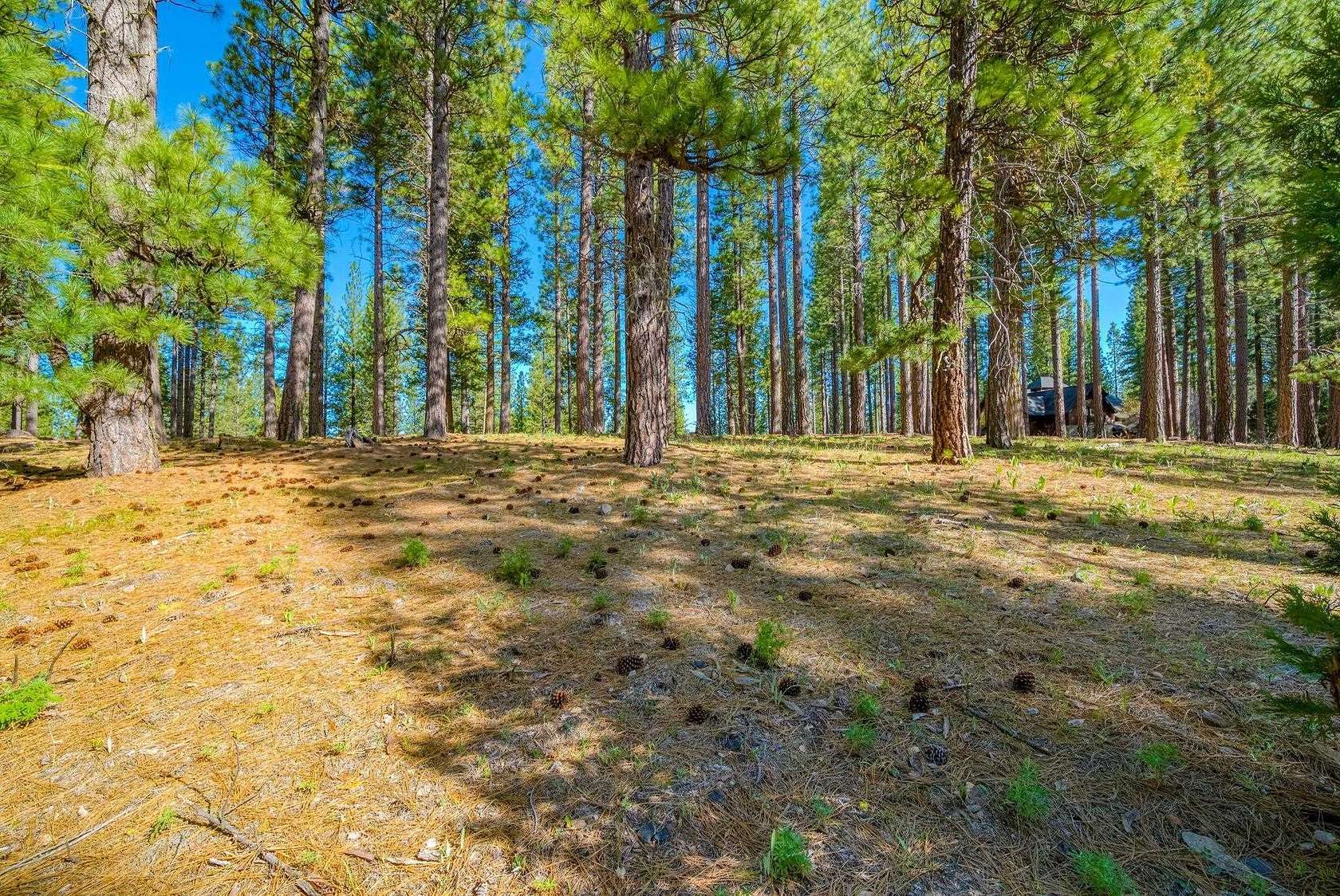 1.4 Acres of Residential Land for Sale in Clio, California