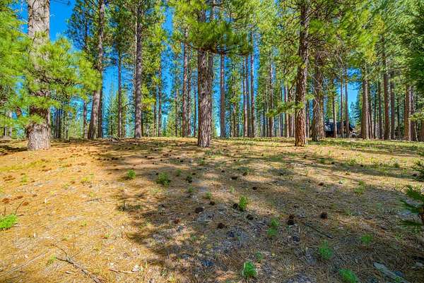 1.4 Acres of Residential Land for Sale in Clio, California