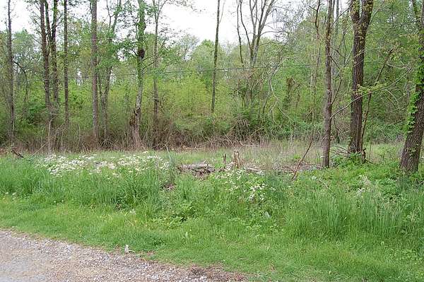 0.54 Acres of Land for Sale in Gruetli-Laager, Tennessee