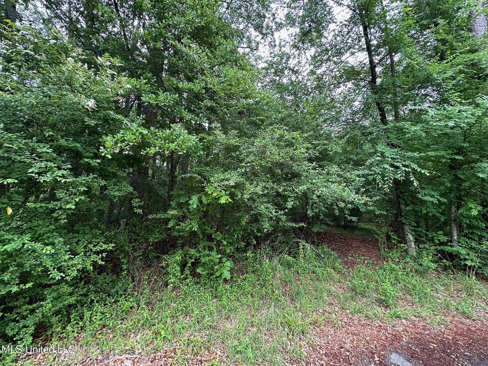 0.58 Acres of Residential Land for Sale in Florence, Mississippi