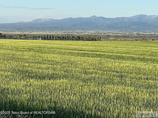 20 Acres of Recreational Land for Sale in Driggs, Idaho