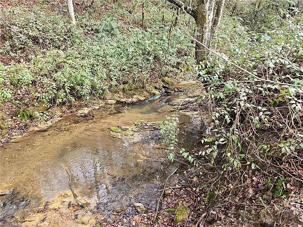 138 Acres of Land for Sale in Ferguson, North Carolina
