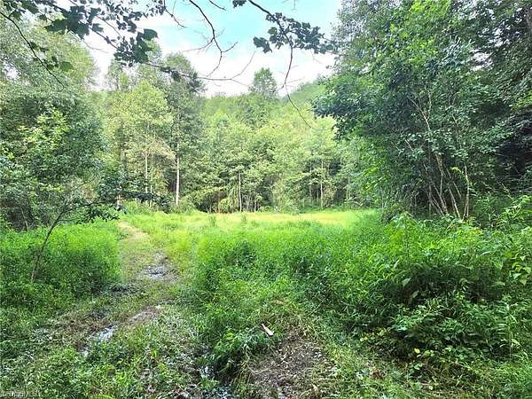 138 Acres of Land for Sale in Ferguson, North Carolina