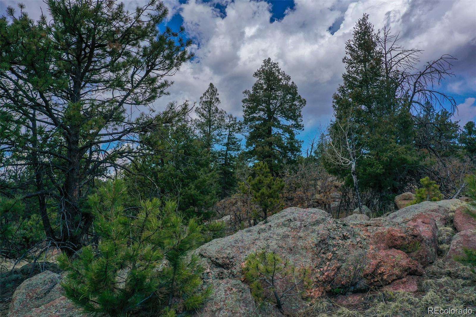 20 Acres of Land for Sale in Florissant, Colorado